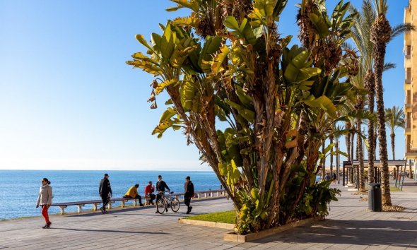 Revente - Apartment -
Torrevieja - Costa Blanca