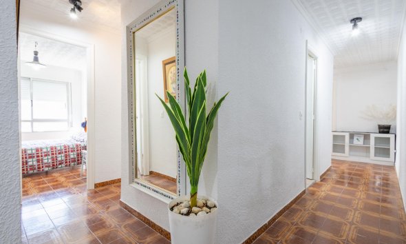 Reventa - Apartment -
Torrevieja - Costa Blanca