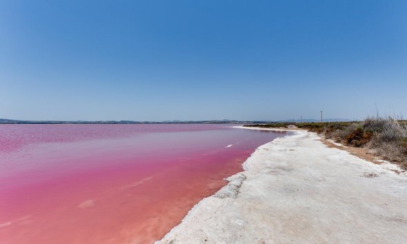 Reventa - Apartment -
Torrevieja - Acequion