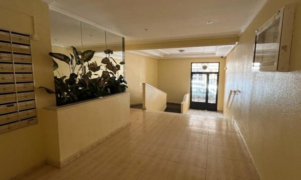 Reventa - Apartment -
Torrevieja - Costa Blanca