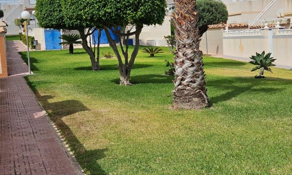 Reventa - Town House -
Torrevieja - Los Balcones - Los Altos del Edén