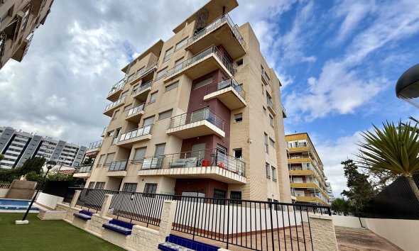 Reventa - Apartment -
Torrevieja - Costa Blanca