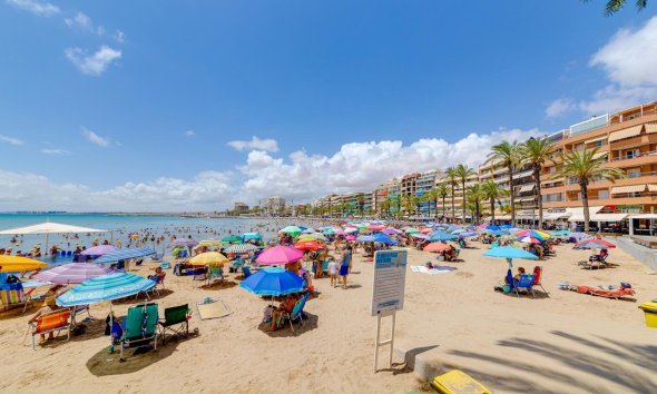 Reventa - Apartment -
Torrevieja - Centro