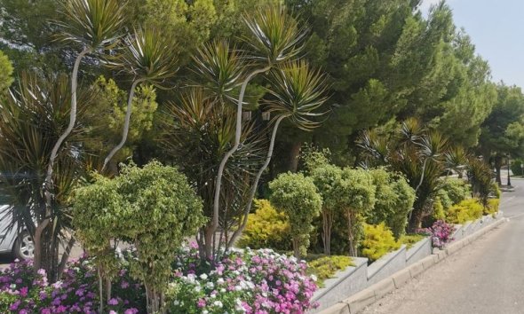 Reventa - Apartment -
Orihuela Costa - Costa Blanca