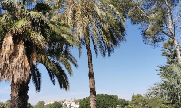 Reventa - Apartment -
Orihuela Costa - Costa Blanca