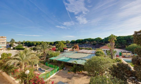 Reventa - Apartment -
Guardamar del Segura - Pinomar