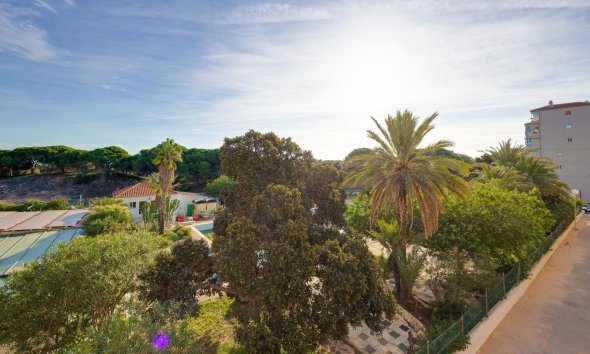 Reventa - Apartment -
Guardamar del Segura - Pinomar