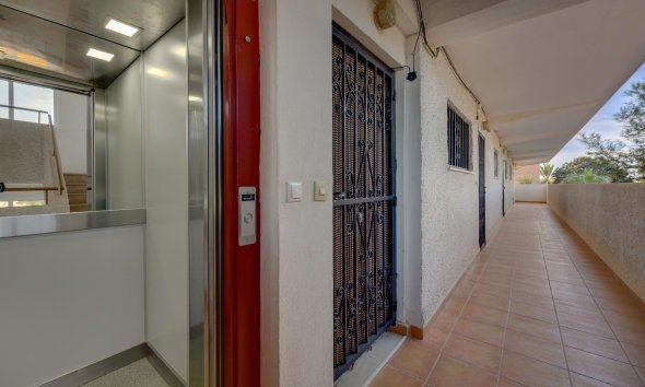 Reventa - Apartment -
Guardamar del Segura - Pinomar