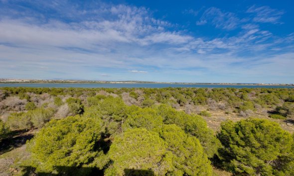 Reventa - Apartment -
Torrevieja - La Siesta - El Salado - Torreta