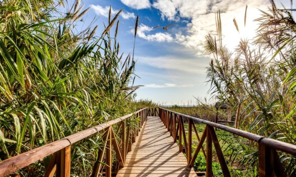 Resale - Apartment -
Torrevieja - La Mata