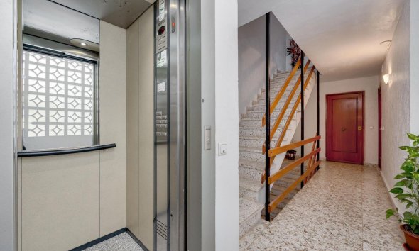 Reventa - Apartment -
Torrevieja - Centro