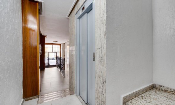 Reventa - Apartment -
Torrevieja - Centro