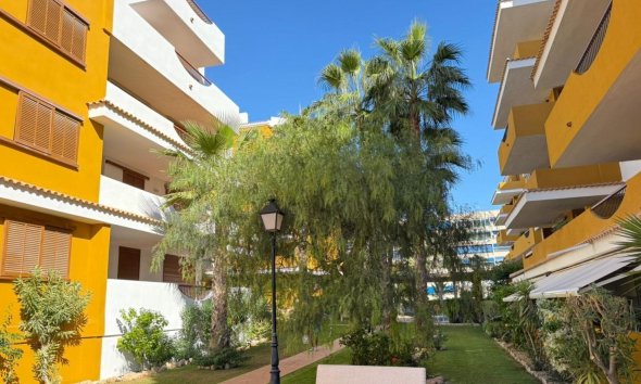Revente - Apartment -
Torrevieja - Punta Prima