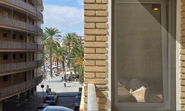 Reventa - Apartment -
Torrevieja - Centro